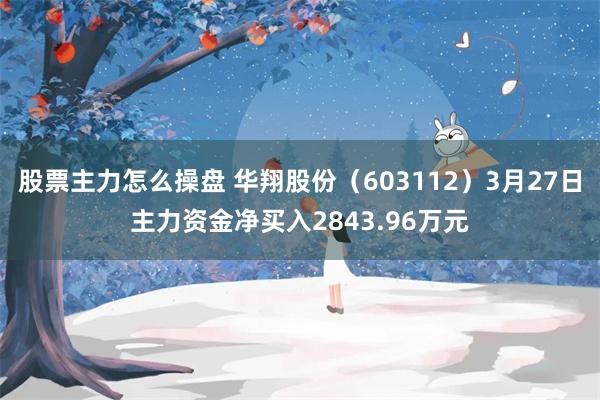 股票主力怎么操盘 华翔股份（603112）3月27日主力资金净买入2843.96万元