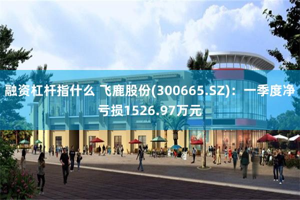 融资杠杆指什么 飞鹿股份(300665.SZ)：一季度净亏损1526.97万元