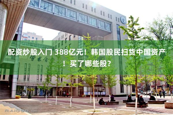 配资炒股入门 388亿元！韩国股民扫货中国资产！买了哪些股？