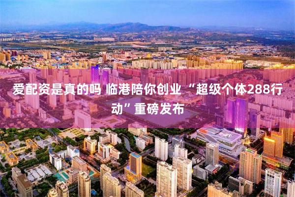 爱配资是真的吗 临港陪你创业 “超级个体288行动”重磅发布