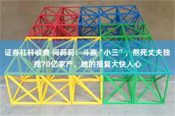 证券杠杆收费 何莉莉：斗赢“小三”，熬死丈夫独揽70亿家产，她的报复大快人心