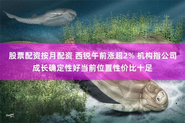 股票配资按月配资 西锐午前涨超2% 机构指公司成长确定性好当前位置性价比十足