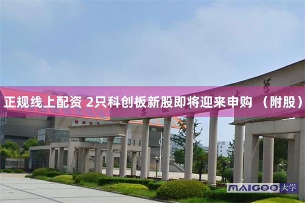 正规线上配资 2只科创板新股即将迎来申购 （附股）